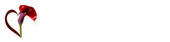 Bestattungshaus Susan Abraham